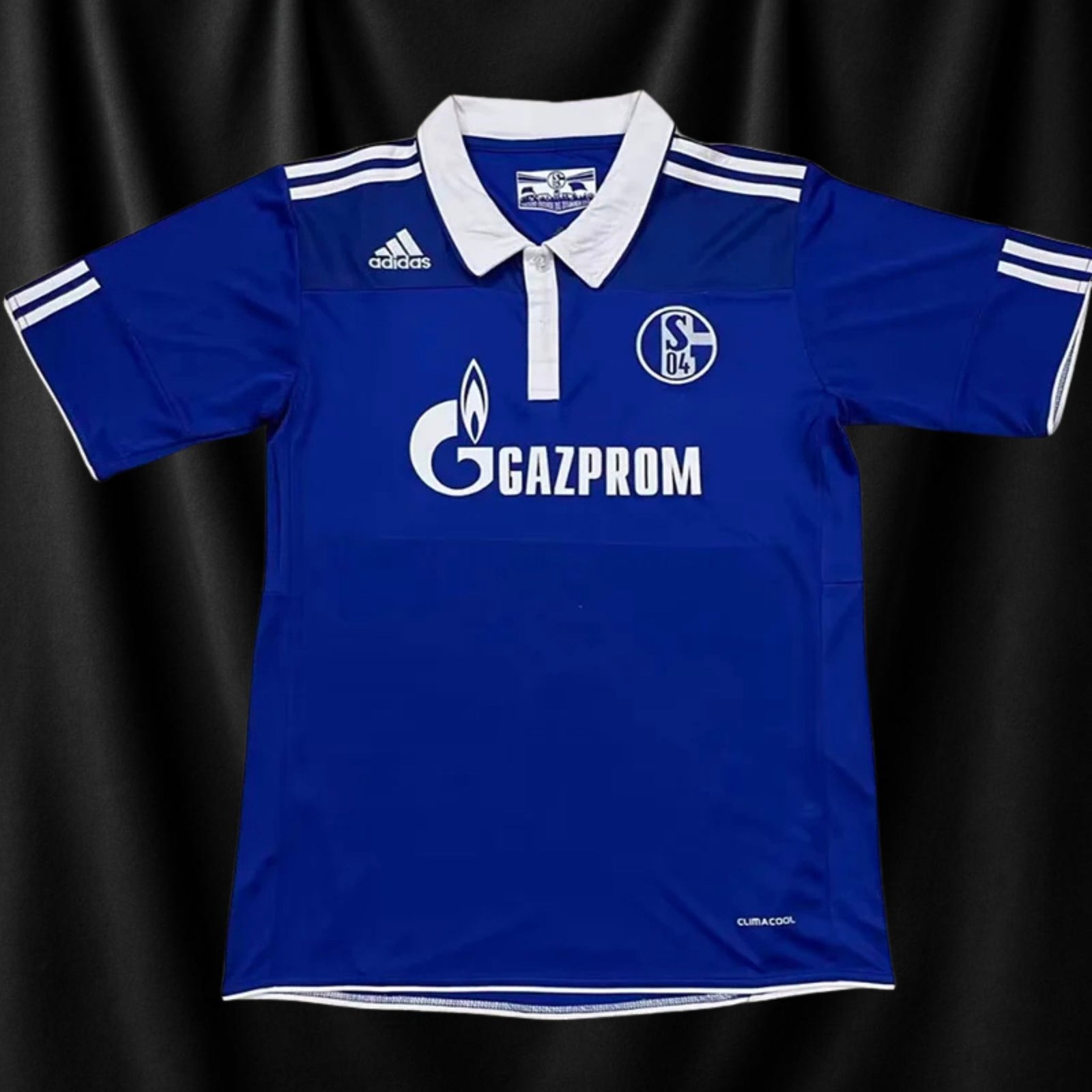 Schalke 2010/11 Home